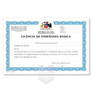Búho; Licencia de Enseñanza Básica / Unidad